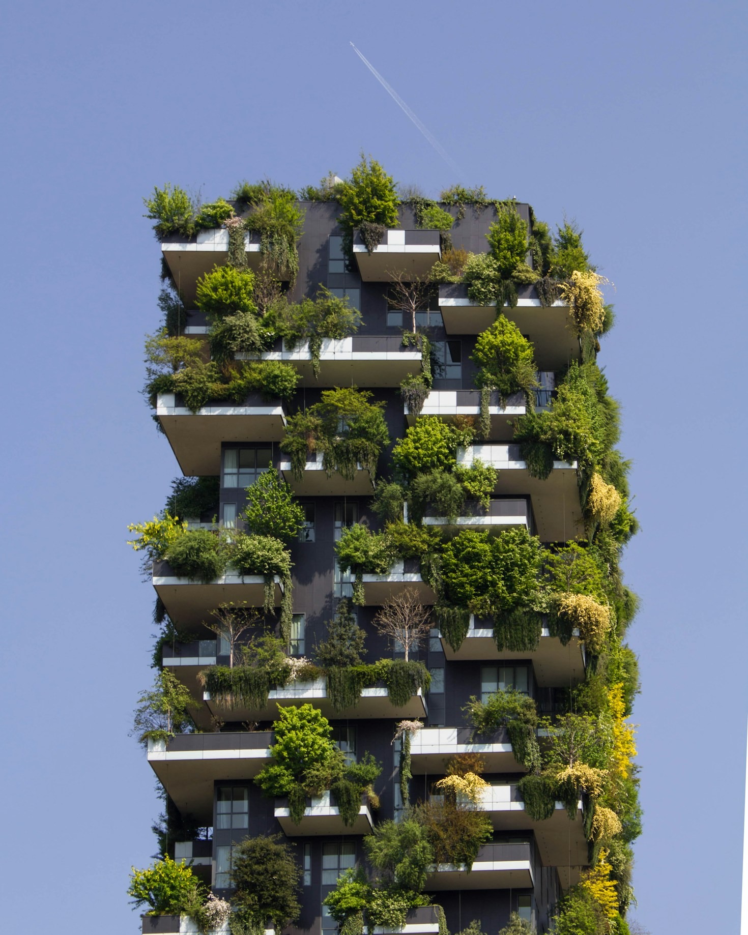 How to Create Greener Communities and Cities
