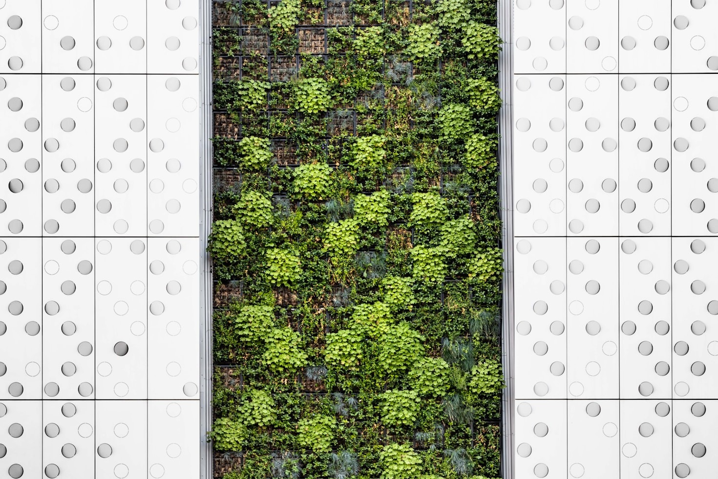 What Sustainable Living Means in Modern Times